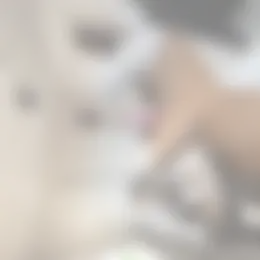 Kamer Foto #0 te huur bij Huurstunt