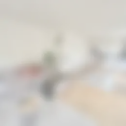 Kamer Foto #0 te huur bij Huurstunt