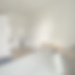 Kamer Foto #0 te huur bij Huurstunt