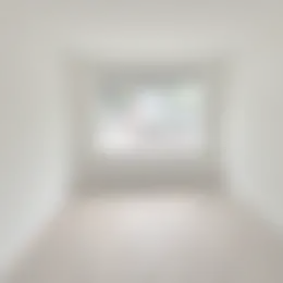 Kamer Foto #0 te huur bij Huurstunt