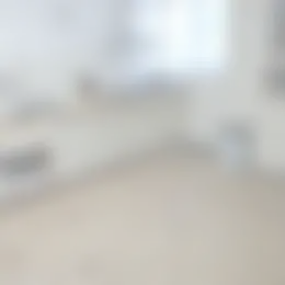 Kamer Foto #0 te huur bij Huurstunt