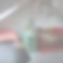 Kamer Foto #0 te huur bij Huurstunt