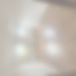 Kamer Foto #0 te huur bij Huurstunt