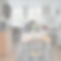 Studio Foto #0 te huur bij Huurstunt
