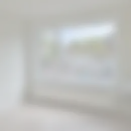Kamer Foto #0 te huur bij Huurstunt