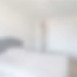 Kamer Foto #0 te huur bij Huurstunt