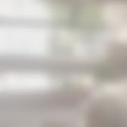 Kamer Foto #0 te huur bij Huurstunt