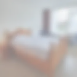 Kamer Foto #0 te huur bij Huurstunt