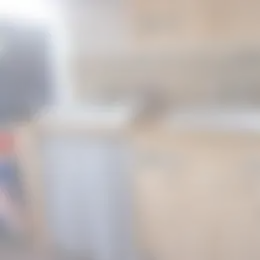 Kamer Foto #0 te huur bij Huurstunt