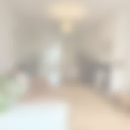 Foto #5 Appartement Middelburgsestraat Den Haag