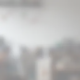 Kamer Foto #0 te huur bij Huurstunt
