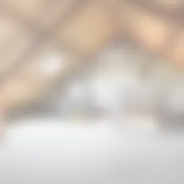 Foto #8 Huurwoning Smissenhaag Maastricht