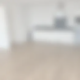 Foto #6 Appartement Van Sijpesteijnkade Utrecht