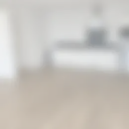 Foto #2 Huurwoning Van Sijpesteijnkade Utrecht