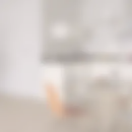 Appartement Foto #0 te huur bij Huurstunt
