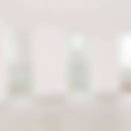 Appartement Foto #0 te huur bij Huurstunt