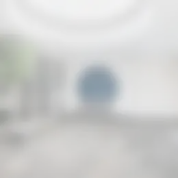 Appartement Foto #0 te huur bij Huurstunt