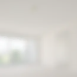 Foto #2 Appartement Aaltje Noordewierstraat Den Haag