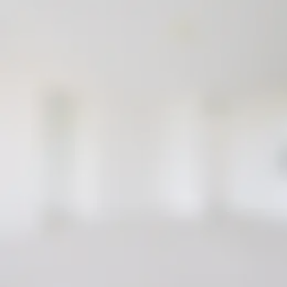 Foto #1 Appartement Aaltje Noordewierstraat Den Haag