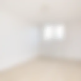 Foto #5 Appartement Pisastraat Den Bosch