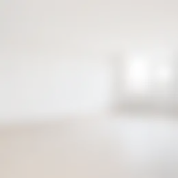 Appartement Foto #0 te huur bij Huurstunt