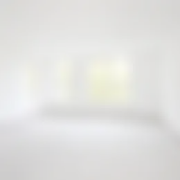 Appartement Foto #0 te huur bij Huurstunt