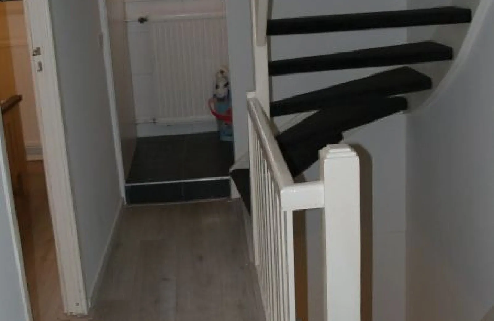 Foto #14 Huurwoning Hyacinthstraat Eindhoven