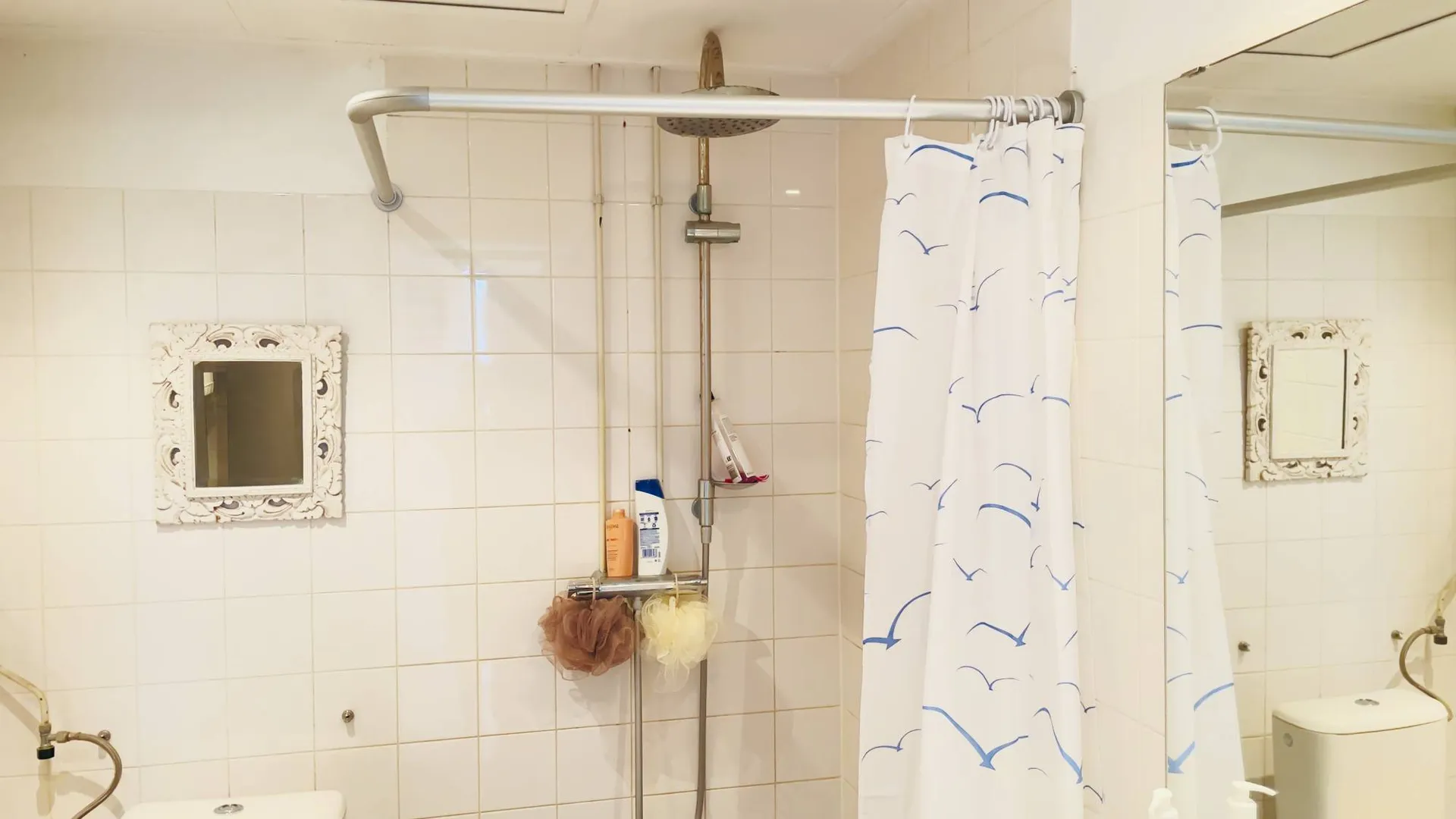 Foto #14 Appartement Bos en Lommerweg Amsterdam