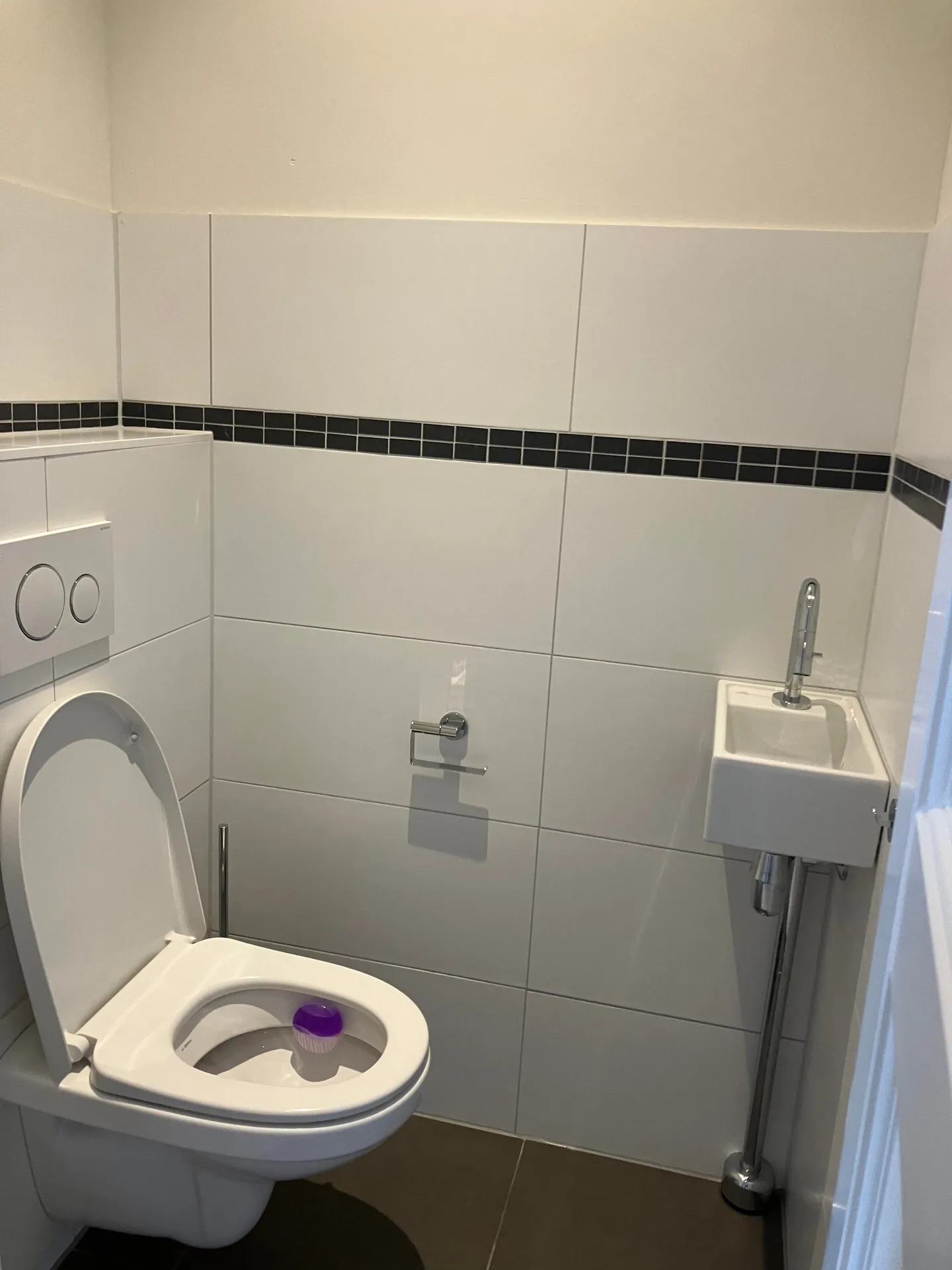 Foto #11 Appartement Minervalaan Amsterdam