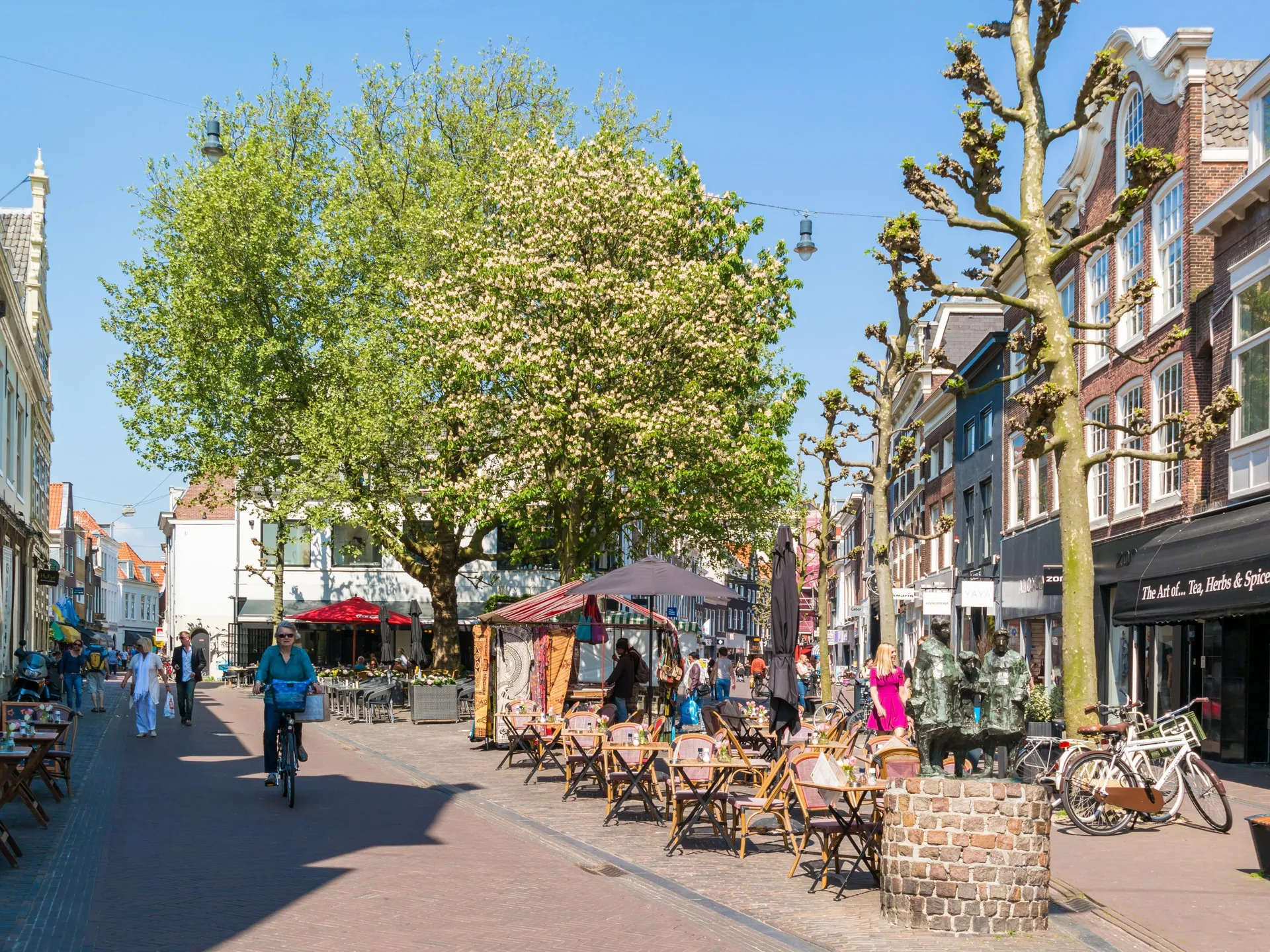 Foto #39 Huurwoning Drapenierstraat Haarlem