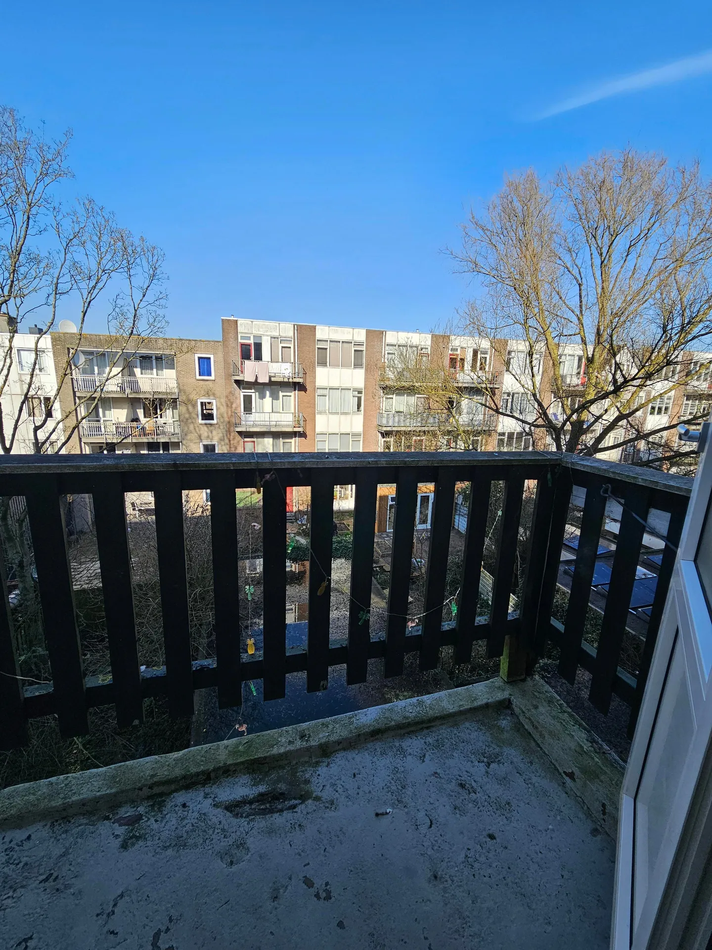 Foto #10 Appartement Schiedamseweg Rotterdam