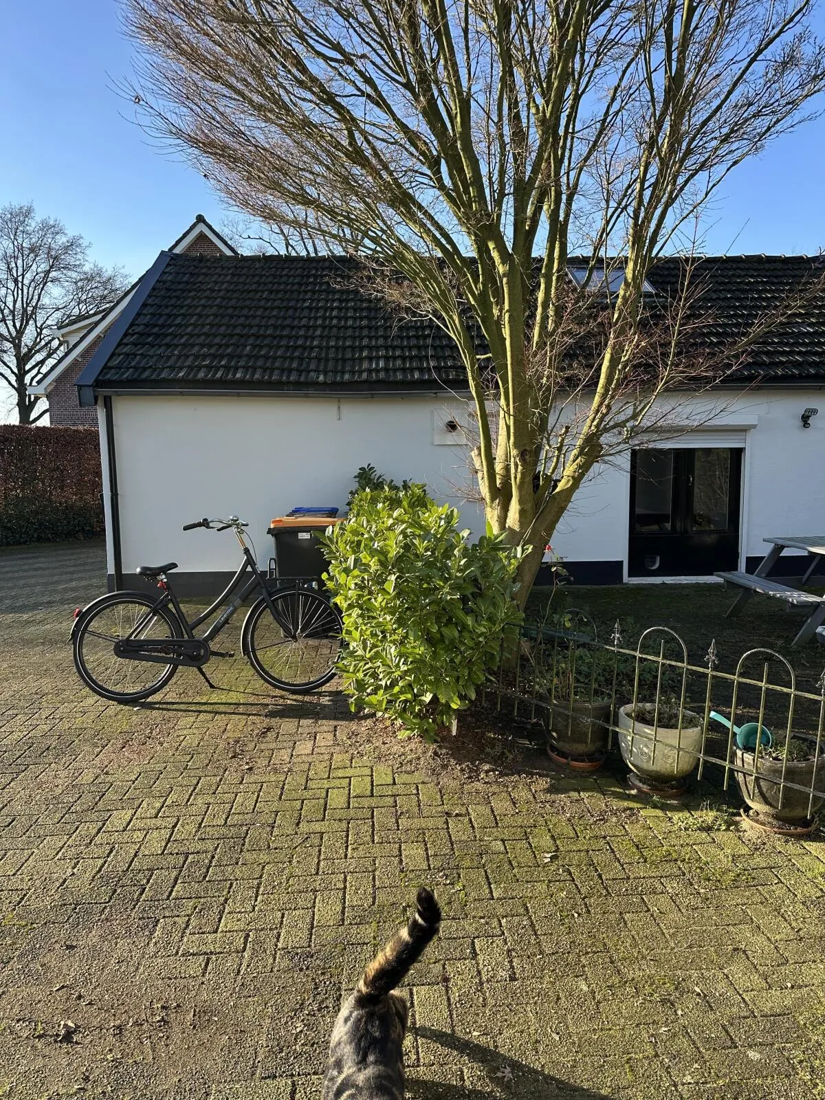 Foto #5 Huurwoning Grintweg Wageningen