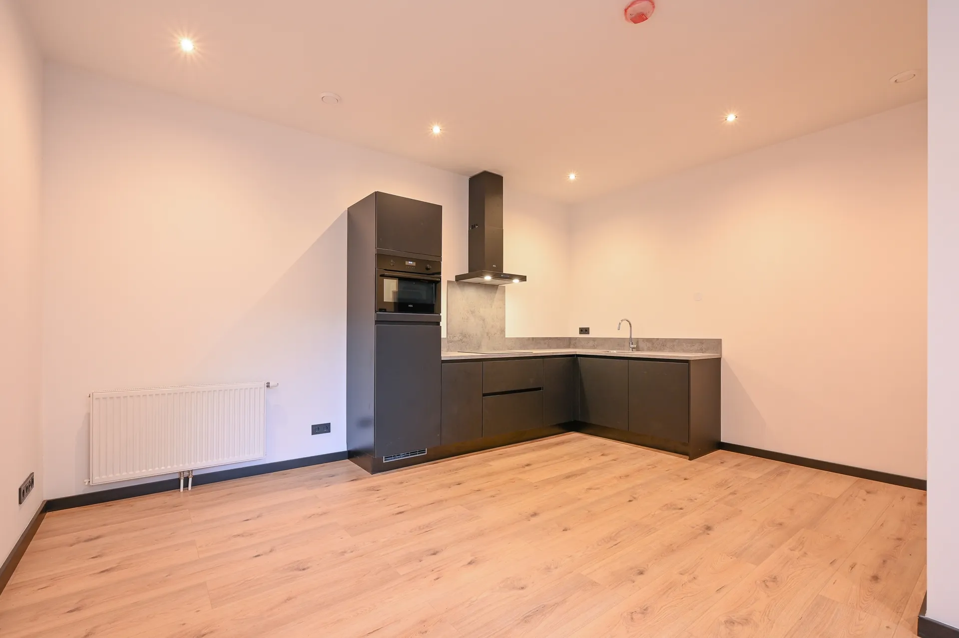 Foto #1 Appartement Repelaerstraat Den Haag