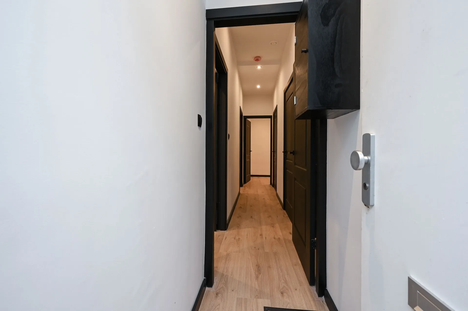 Foto #3 Appartement Repelaerstraat Den Haag