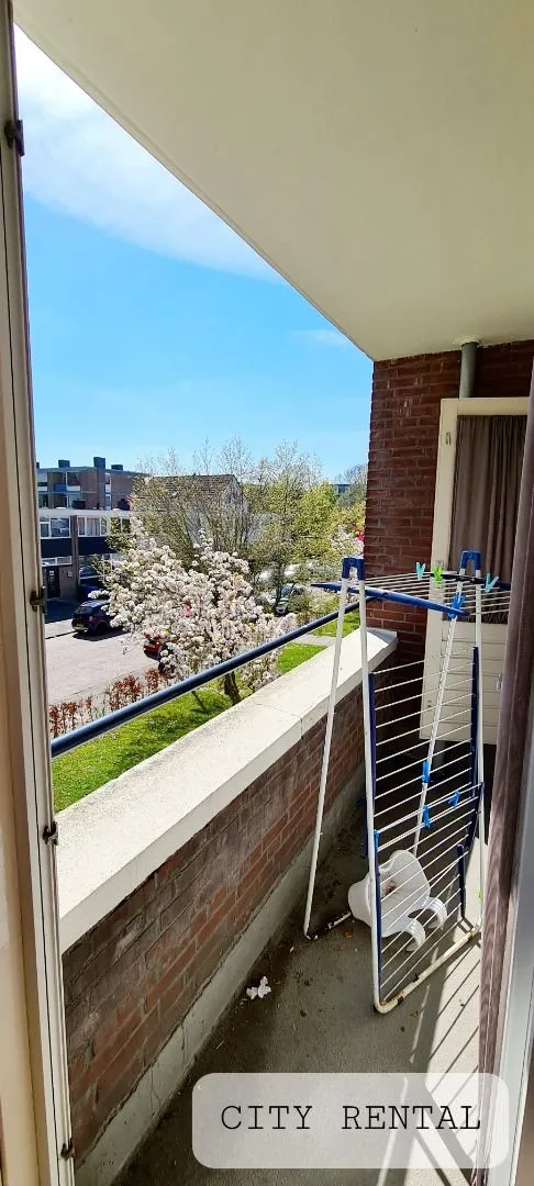 Foto #4 Kamer Platostraat Rotterdam