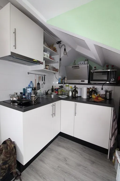Foto #3 Appartement Lessinglaan Utrecht