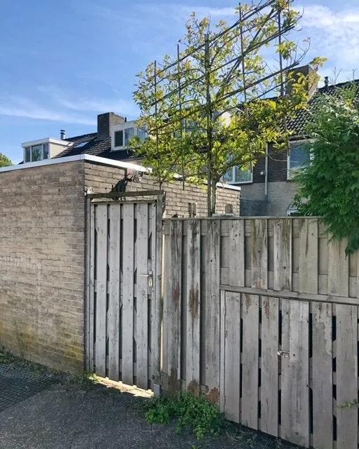Foto #27 Huurwoning Brahmslaan Helmond