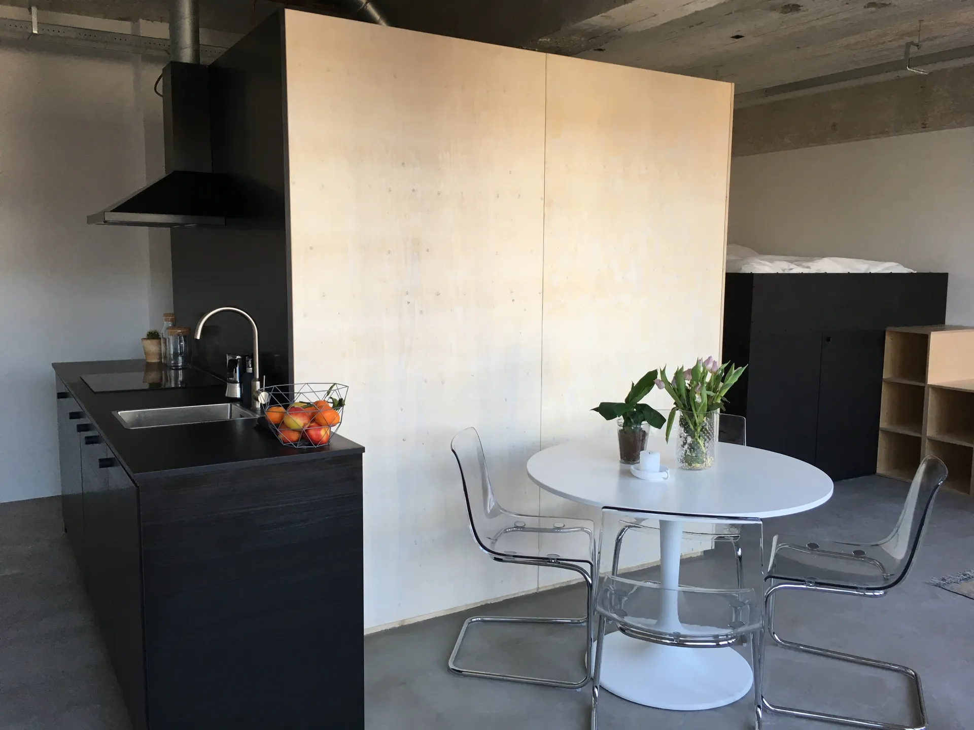 Foto #3 Appartement Professor Pieter Willemsstraat Maastricht