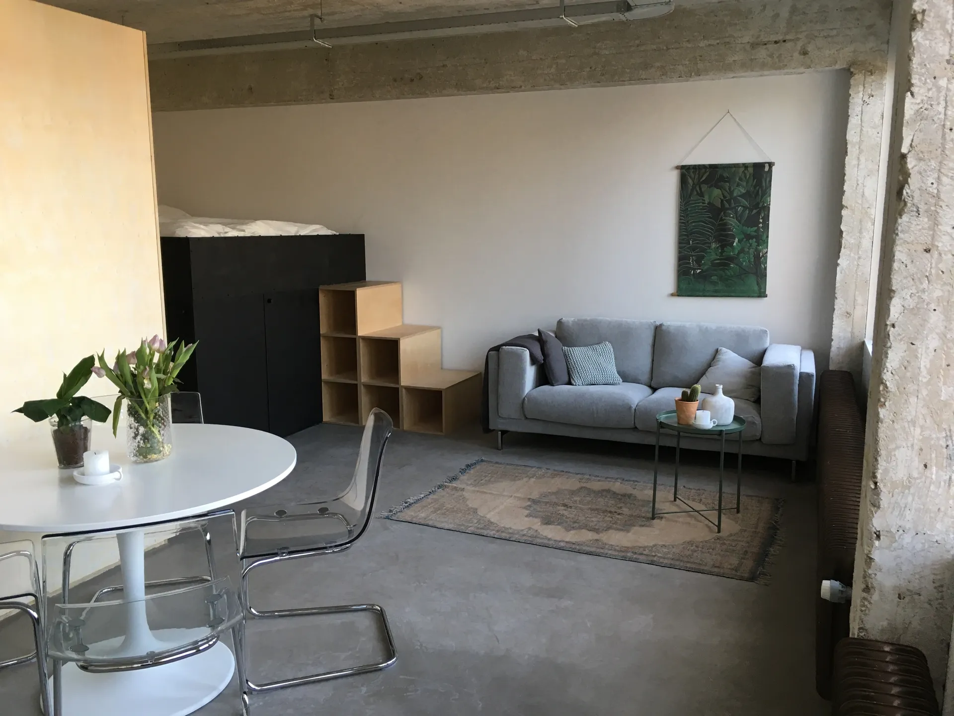 Foto #7 Appartement Professor Pieter Willemsstraat Maastricht