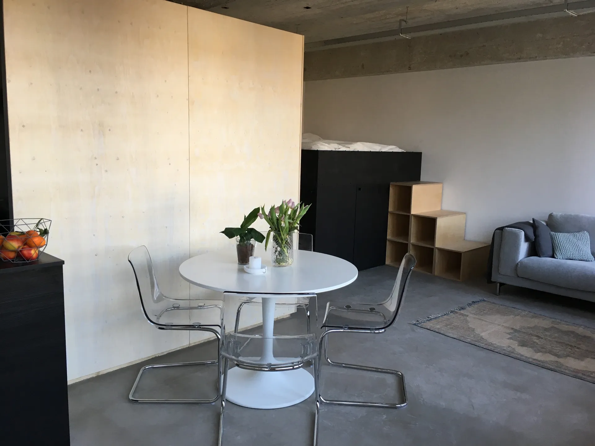 Foto #5 Appartement Professor Pieter Willemsstraat Maastricht