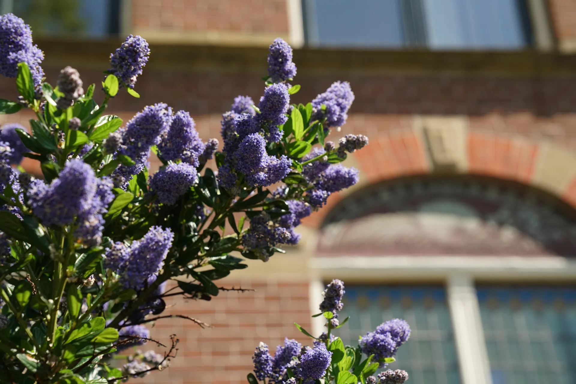 Foto #46 Huurwoning Nieuwe Plantage Delft