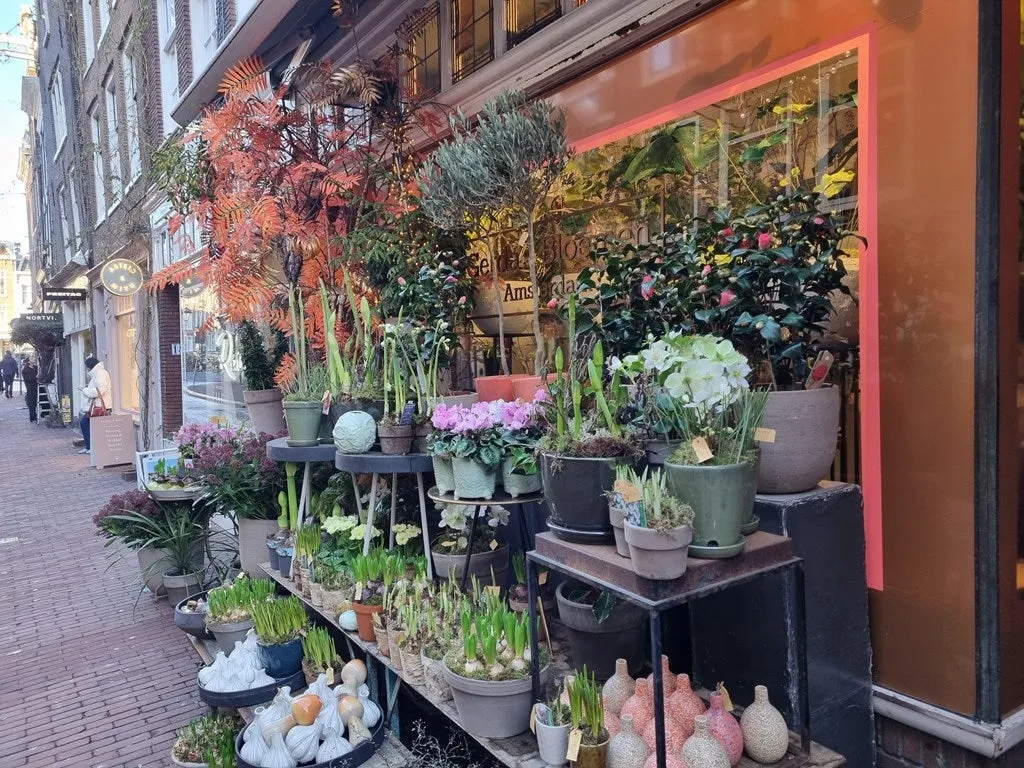 Foto #49 Appartement Runstraat Amsterdam