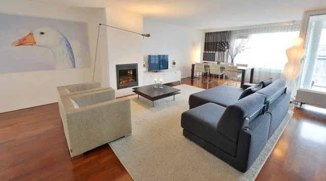 Foto #0 Appartement Pieter de Hoochstraat Amsterdam