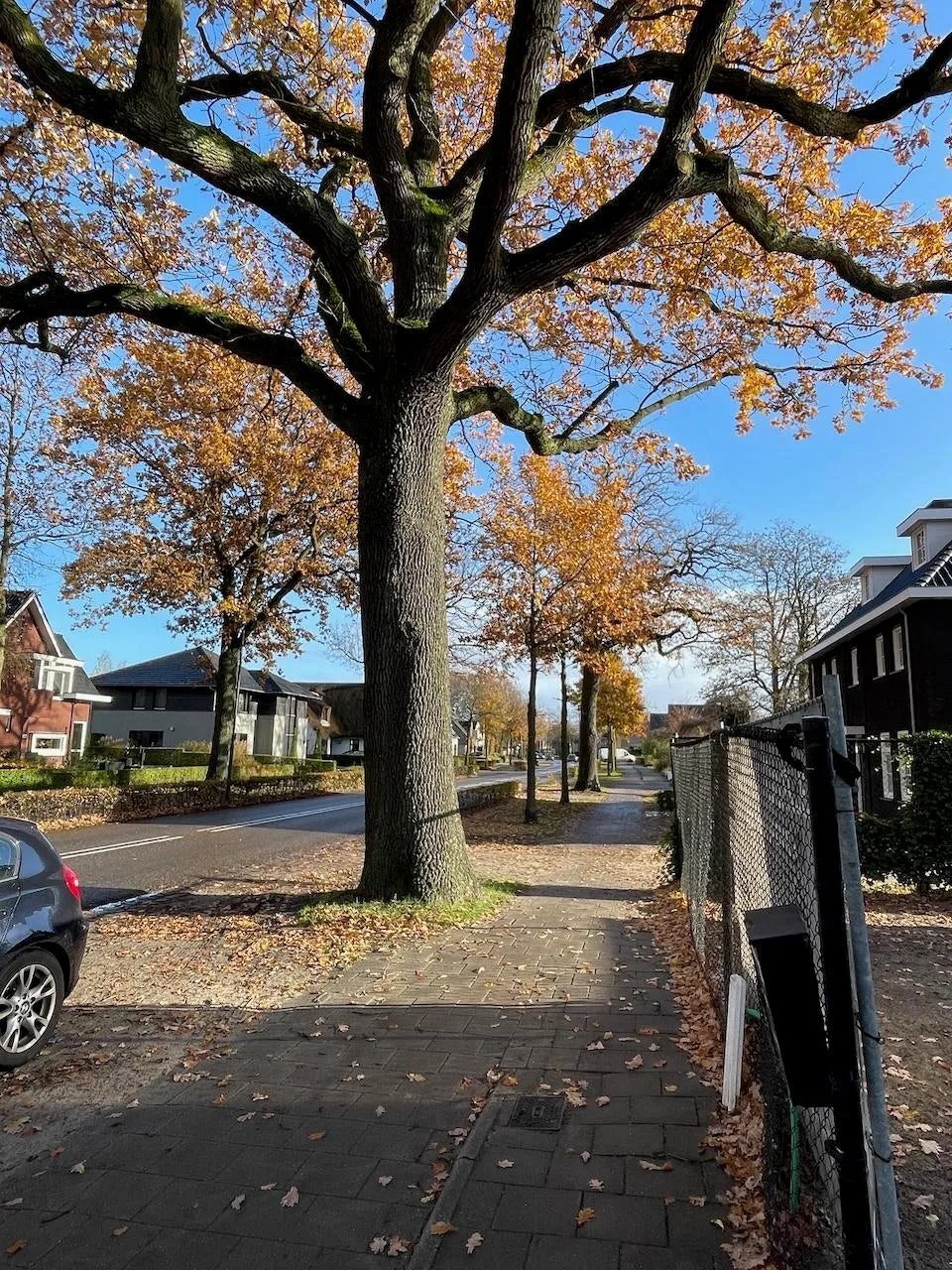Foto #26 Huurwoning Bosschebaan Heesch