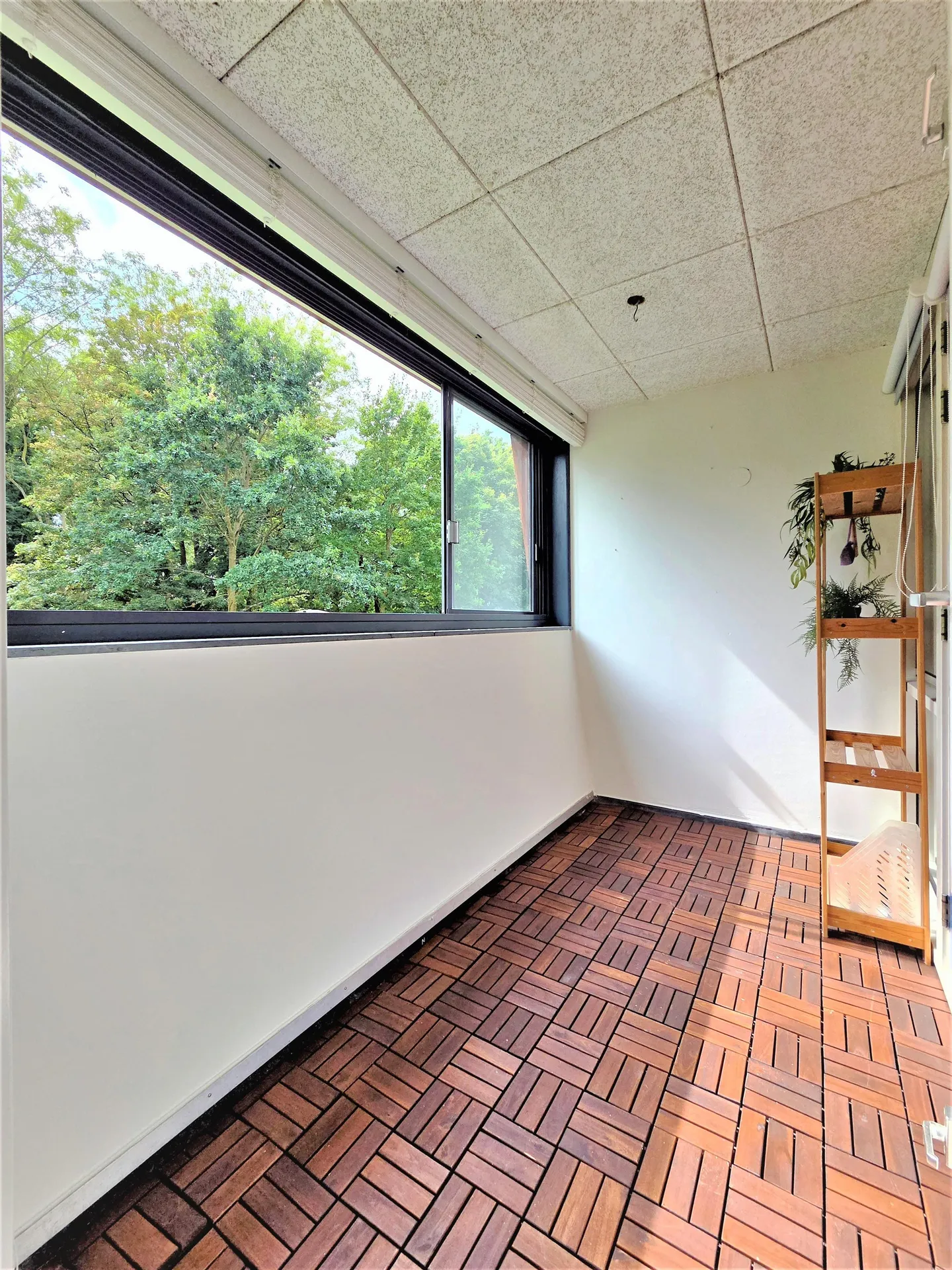 Foto #4 Appartement Flevoparkweg Amsterdam