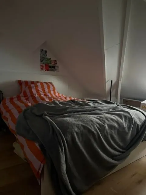 Foto #7 Appartement Galjoenstraat Tilburg