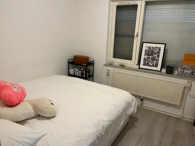 Foto #9 Appartement Raadhuisplein Son en Breugel