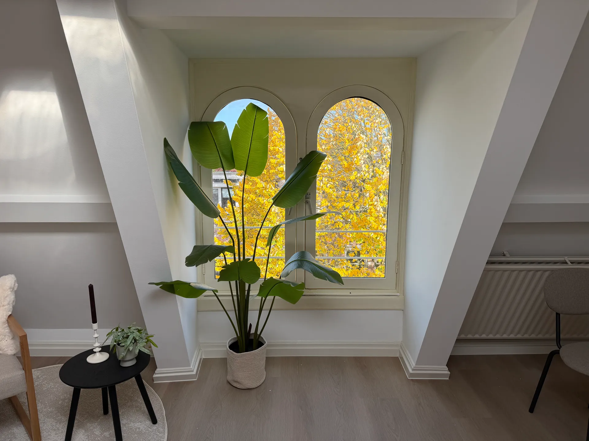 Foto #0 Studio Burgemeester Reigerstraat Utrecht