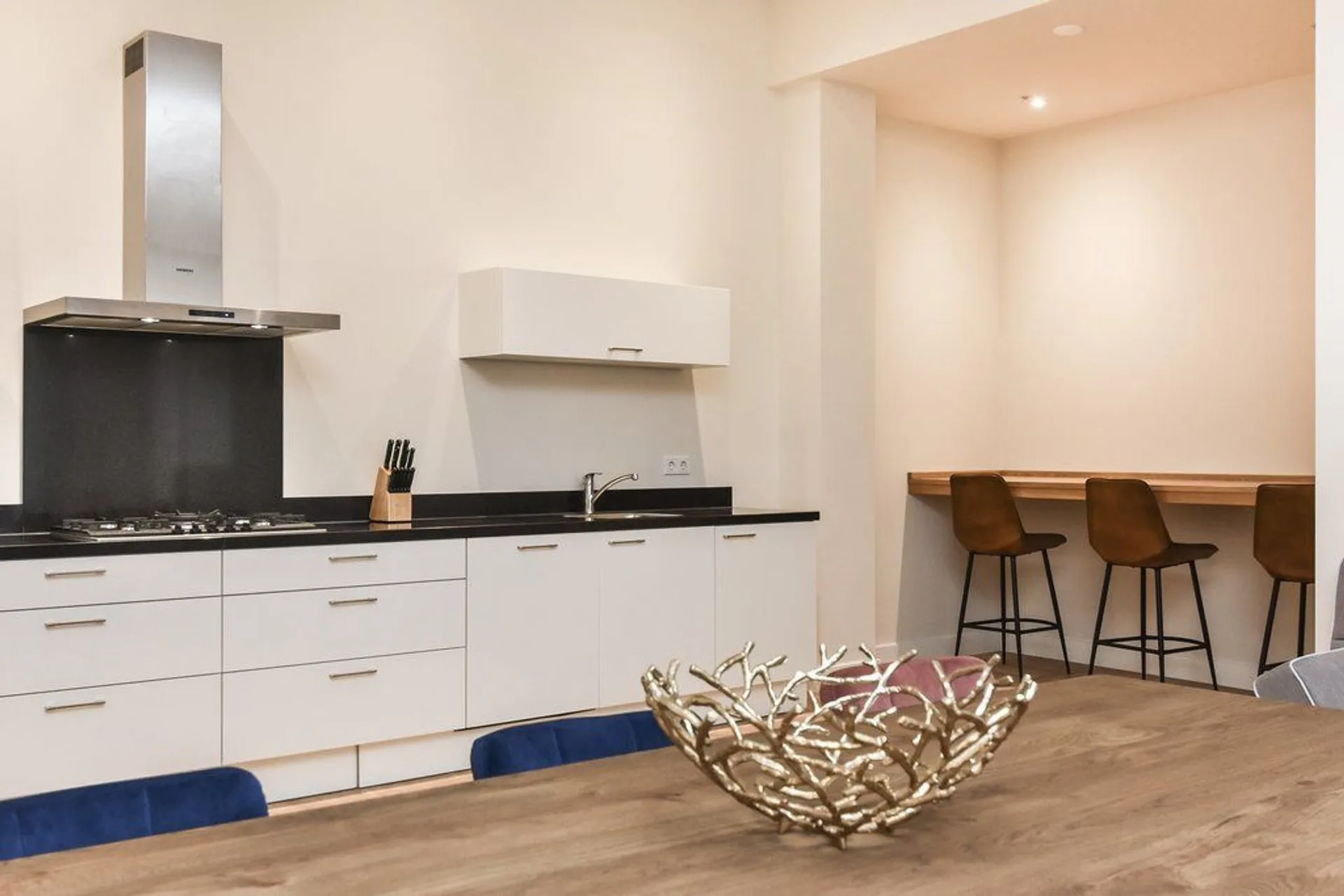 Foto #14 Appartement Bagijnestraat Den Haag