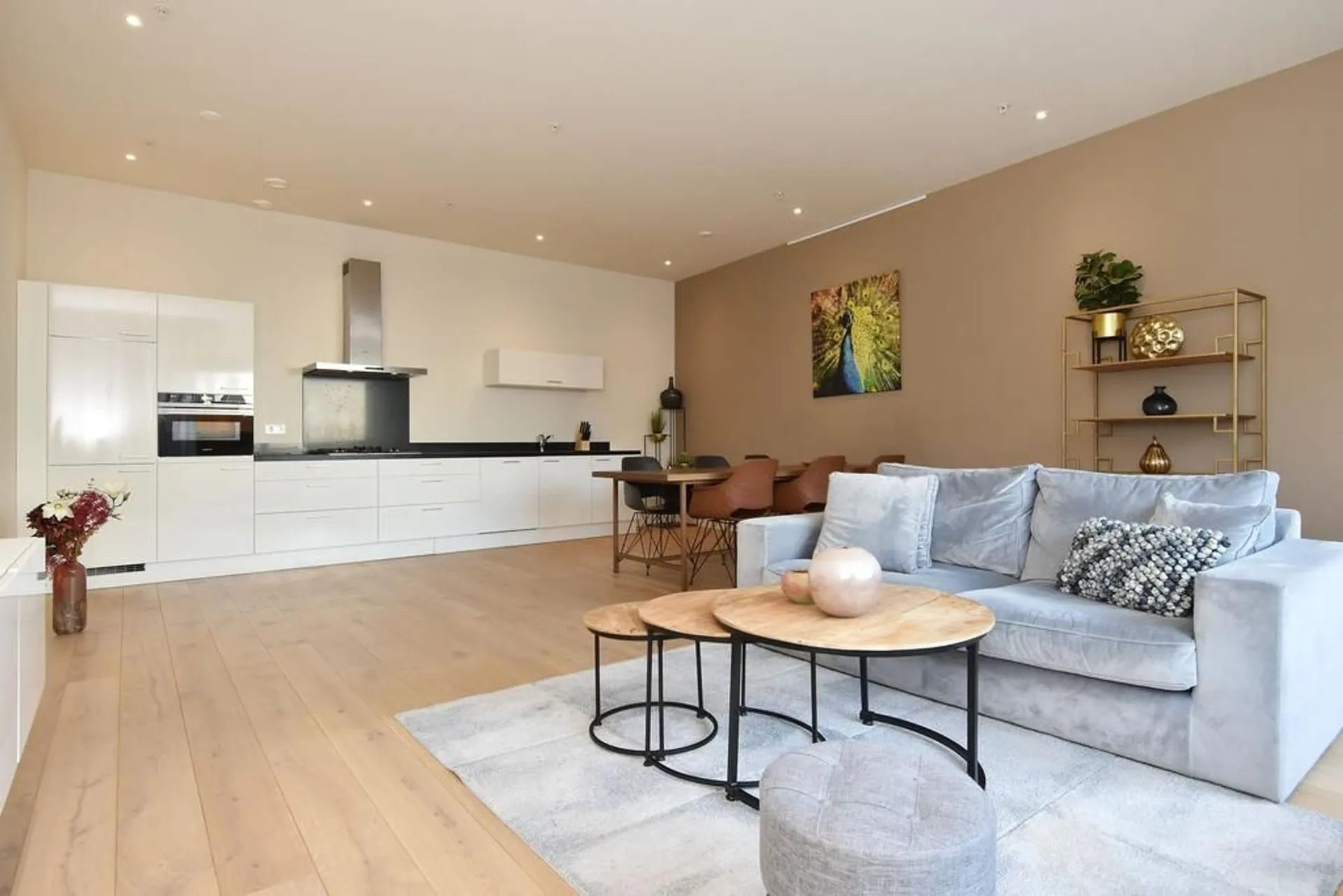 Foto #0 Appartement Bagijnestraat Den Haag